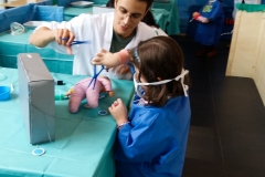 Hospital dos Pequeninos